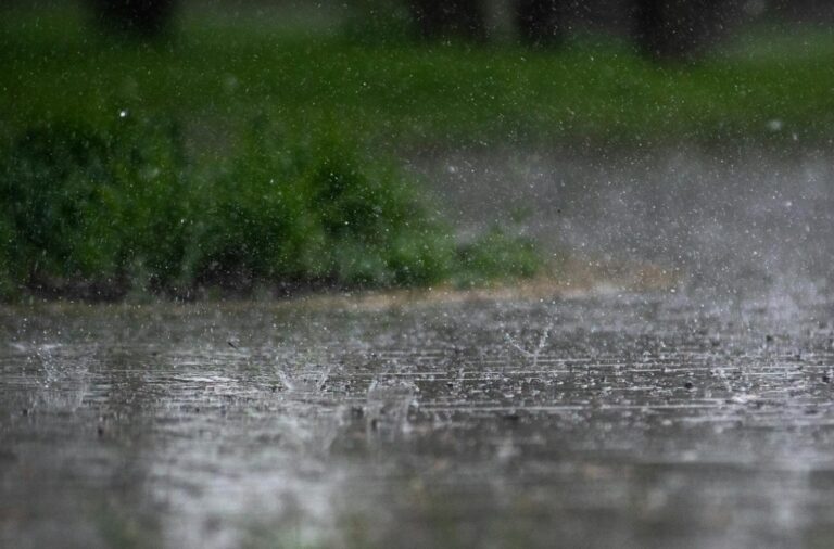 How to Prepare Your Home for Georgia&rsquo;s Rainy Season