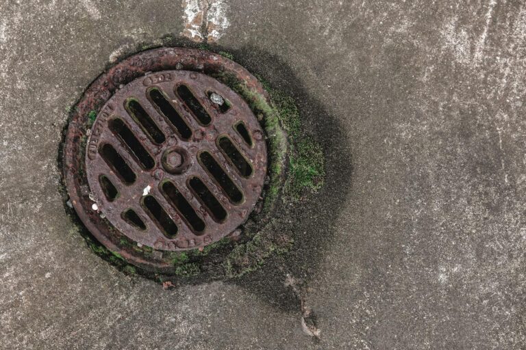 Outdoor Drain Cleaning: When to DIY and When to Call a Pro